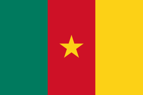 Flaga narodowa Kamerun 