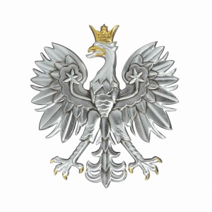 Orzeł odlew  srebrzony  40x45 cm, polonik