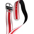 bandolier w barwach RP 5.jpg