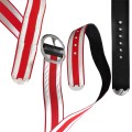 bandolier w barwach RP 7.jpg