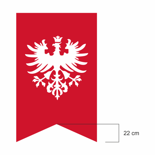 flaga_100x160_powstanie wielkopolskie_orzeł w koronie.png