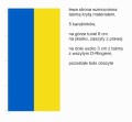 flaga-Ukrainy-poliestrowa-drukowana-pionowa_do-masztu-zewnetrznego_u-gory-tunel_po-lewej-tasma,-5-karabinkow,-D-Ring_2.jpg
