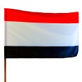flaga woj kujawsko-pomorskie bez herbu.jpg
