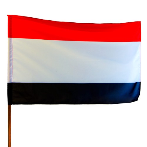 flaga woj kujawsko-pomorskie bez herbu.jpg