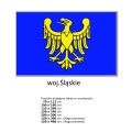 Flaga Województwa Śląskiego 2