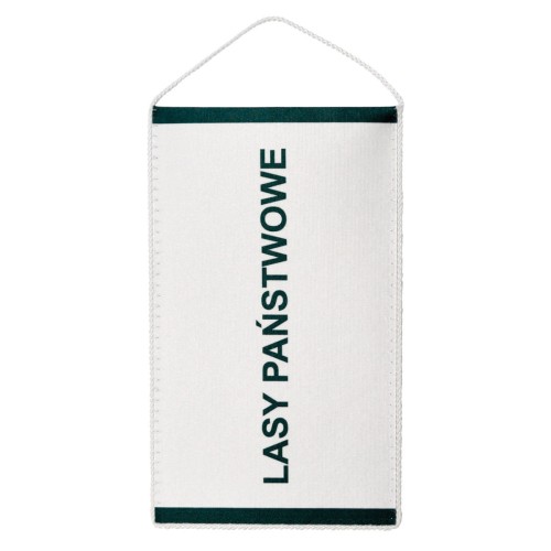 Lasy Państwowe 2.jpg