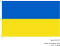 Ukraina_200x125_taśma_3 karabinki_uszko_D-Ring.png