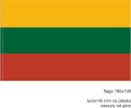 Litwa_160x100_tunel 45 mm_stojak flagowy_uchwyt flagowy.png