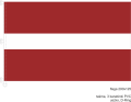 Łotwa_200x125_taśma_3 karabinki_uszko_D-Ring.png