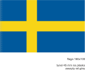Szwecja_160x100_tunel 45 mm_stojak flagowy_uchwyt flagowy.png