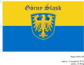 Górny Śląsk_200x125_taśma_3 karabinki_uszko_D-Ring.png