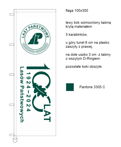 flaga_100x300_100-lecie LP_biała.png
