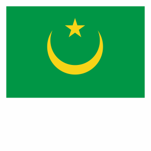 Flagietka narodowa - Mauretania