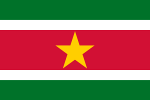 Flaga narodowa - Surinam