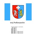 Flaga Województwa Podkarpackiego 2