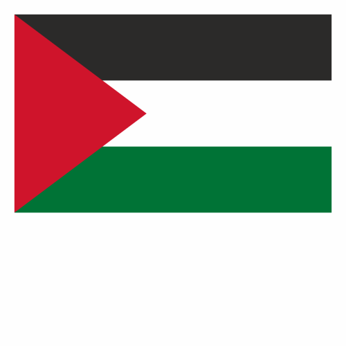 flagietka Palestyna.png