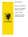 flaga_100x300_Kaszuby_Kaszëbë_gryf.png