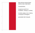 drukowana pionowa flaga RP 120x300 cm, czerwony pas nadrukowany, brak szwu pośrodku, lewy bok wzmocniony taśmą, 5 uszek z taśmy, 5 plastikowych karabinków, na górze tunel do windtrackera, na dole uszko z D-Ringiem, ekspozycja na maszcie flagowym