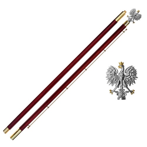 drzewiec galowy ze szpilą brown gold - orzeł silver.jpg