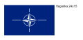flagietka_24x15_NATO.png