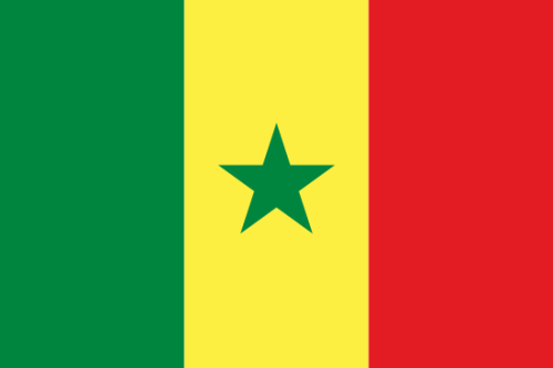  Flaga narodowa Senegal 