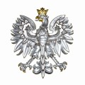orzeł polonik srebrzony 50x55.jpg